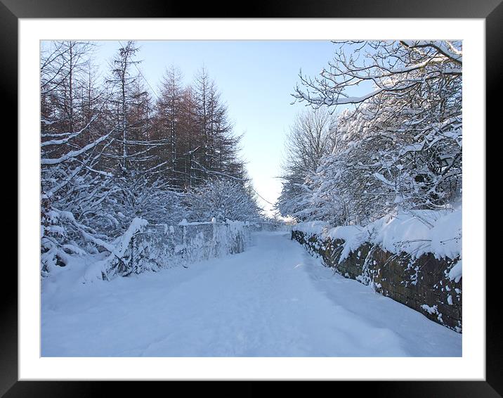 Snow Scene Framed Mounted Print by Dave Parkin