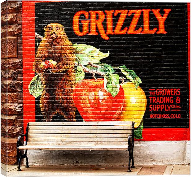 Grizzley Bear Park Bench Canvas Print by Patti Barrett