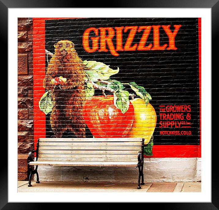 Grizzley Bear Park Bench Framed Mounted Print by Patti Barrett