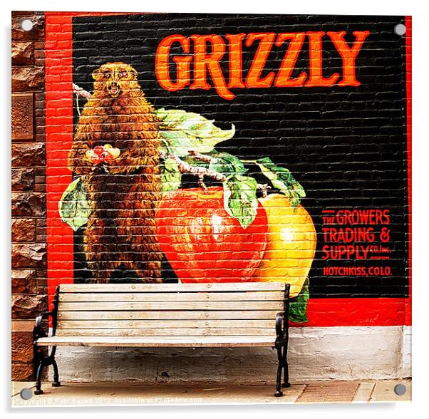 Grizzley Bear Park Bench Acrylic by Patti Barrett