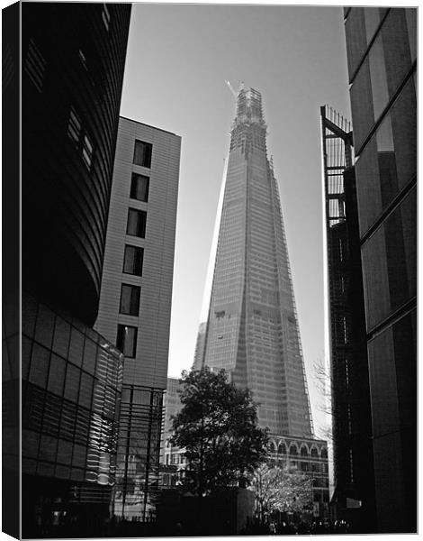 London Shard Of Glass Canvas Print by Clive Eariss