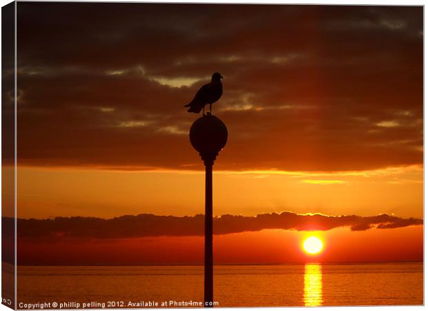 Seagull Sunrise Canvas Print by camera man