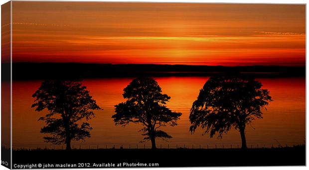 sunset over 3 trees Canvas Print by john maclean