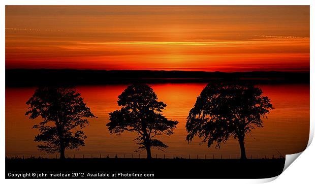 sunset over 3 trees Print by john maclean