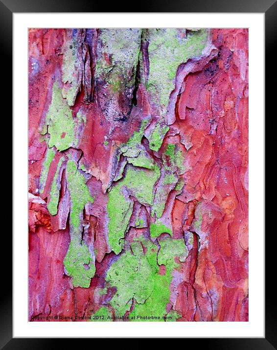 PINK & green tree bark Framed Mounted Print by DEE- Diana Cosford