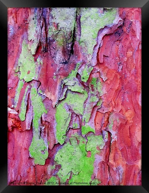 PINK & green tree bark Framed Print by DEE- Diana Cosford