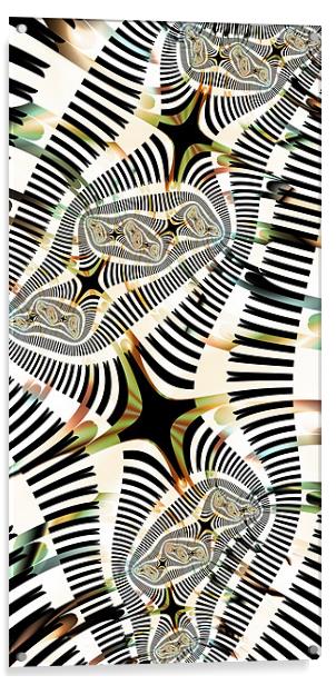 Ebony and Ivory Fractals Acrylic by Jim Bryson