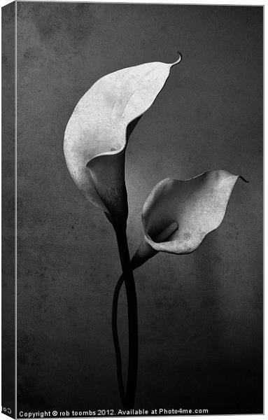 TWIN LILY'S Canvas Print by Rob Toombs