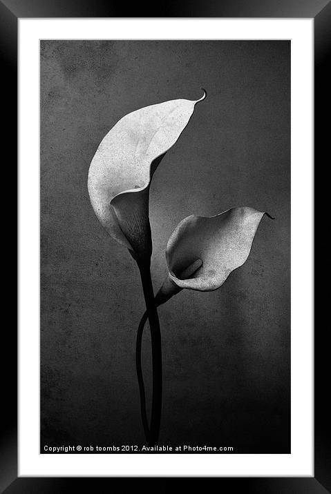 TWIN LILY'S Framed Mounted Print by Rob Toombs