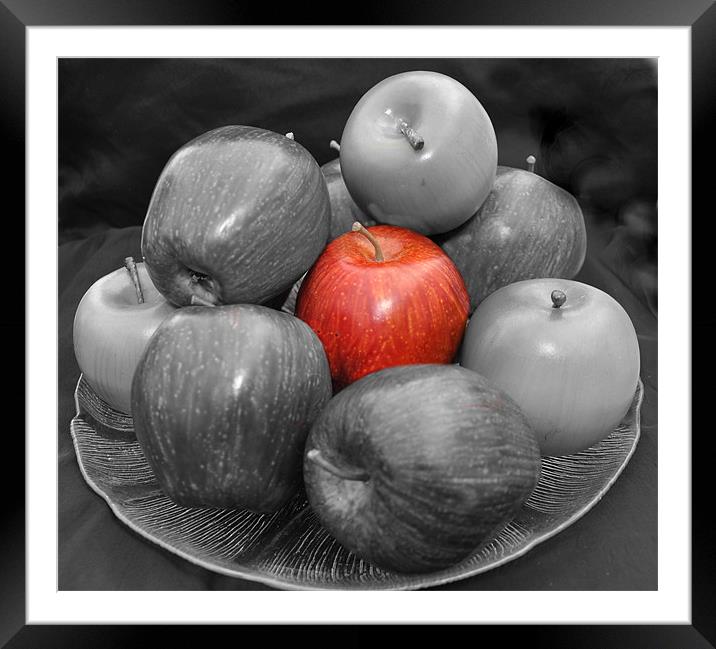 apples Framed Mounted Print by sue davies