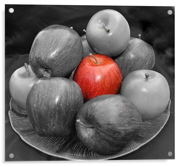 apples Acrylic by sue davies
