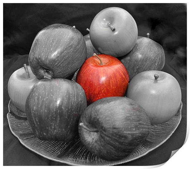 apples Print by sue davies
