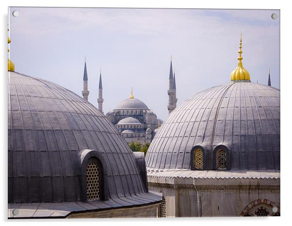 Hagia Sophia, Istanbul Acrylic by Edward Uwechue