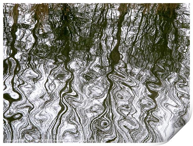 Oily waters Print by DEE- Diana Cosford