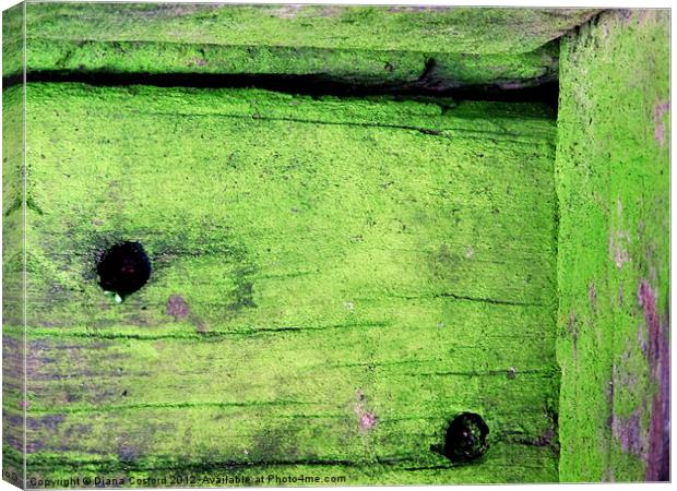 Mossy timber Canvas Print by DEE- Diana Cosford
