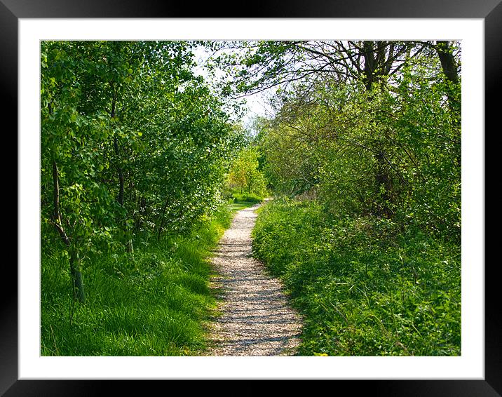 Path to green Framed Mounted Print by andrew hall
