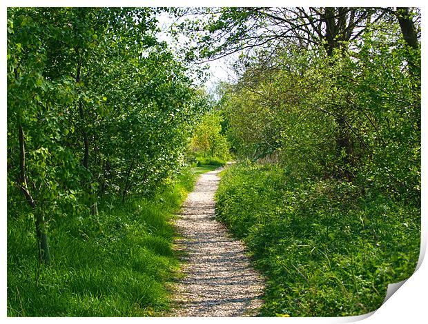 Path to green Print by andrew hall