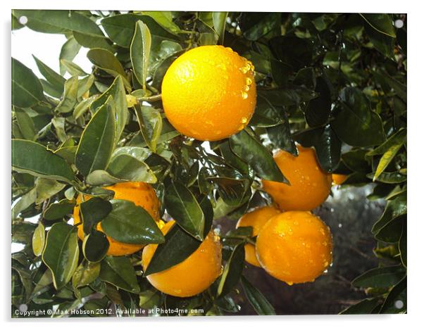 The Cyprus Orange Acrylic by Mark Hobson