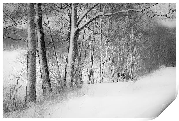gateway to the winter forest Print by Dorit Fuhg