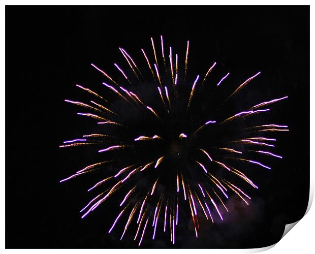 Fourth of July sky in Montana Fireworks Print by Larry Stolle