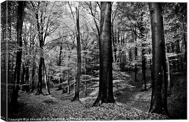 a forest Canvas Print by Jo Beerens