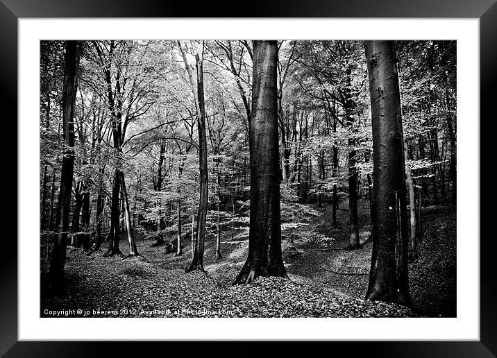 a forest Framed Mounted Print by Jo Beerens