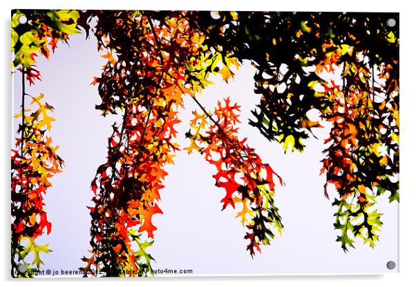 autumn frenzy Acrylic by Jo Beerens