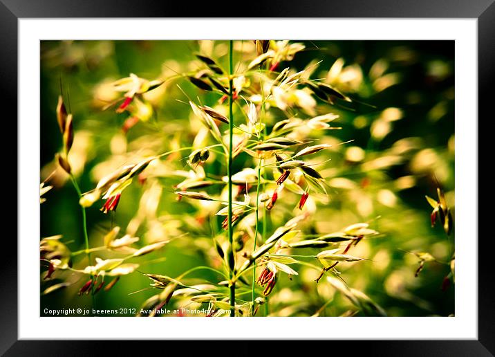 grassy motion Framed Mounted Print by Jo Beerens