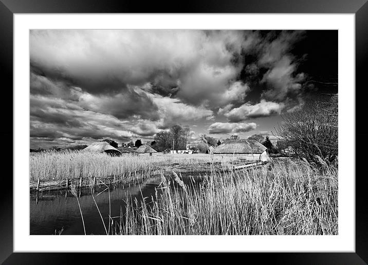 Reeds and Thatch at Hickling Framed Mounted Print by Stephen Mole