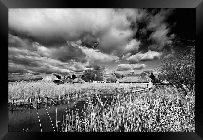 Reeds and Thatch at Hickling Framed Print by Stephen Mole