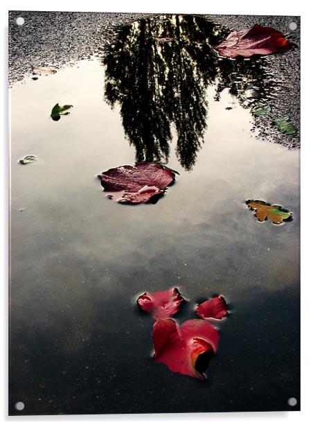 Mesmerizing Reflections after Rain Acrylic by Sandhya Kashyap