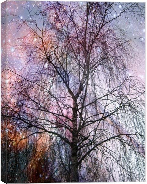 The Singing Tree. Canvas Print by Heather Goodwin