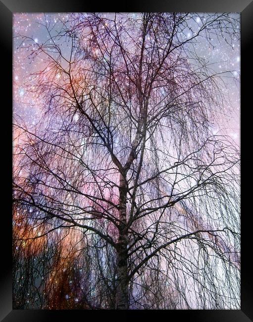 The Singing Tree. Framed Print by Heather Goodwin