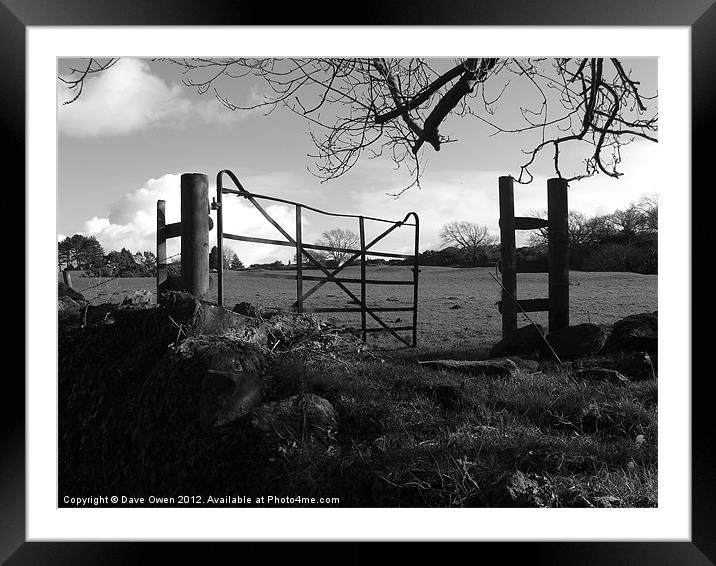 Gate Framed Mounted Print by Dave Owen