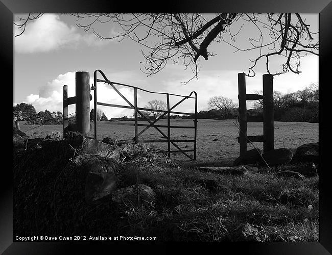 Gate Framed Print by Dave Owen