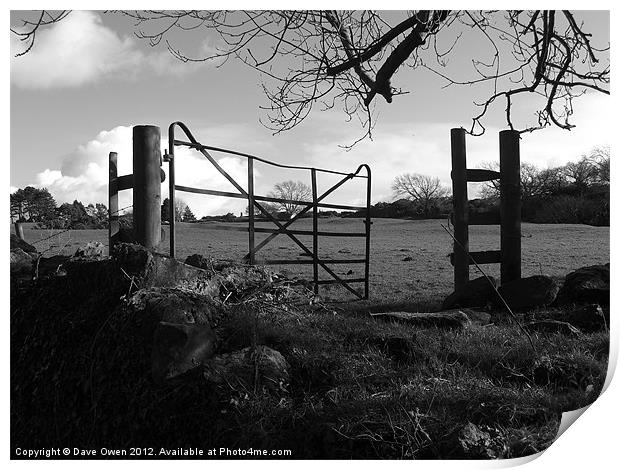 Gate Print by Dave Owen