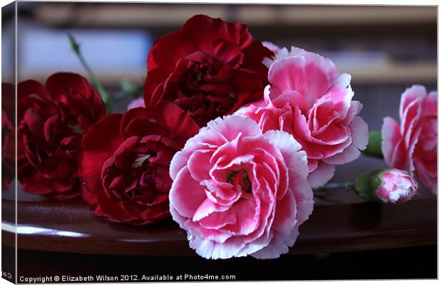 Red and Pink Carnations Canvas Print by Elizabeth Wilson-Stephen