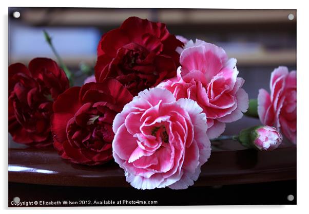 Red and Pink Carnations Acrylic by Elizabeth Wilson-Stephen