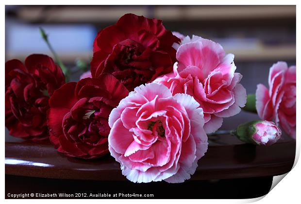 Red and Pink Carnations Print by Elizabeth Wilson-Stephen