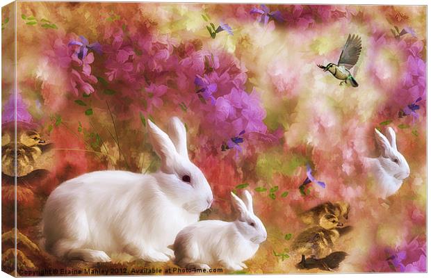 Nature and Spring Canvas Print by Elaine Manley