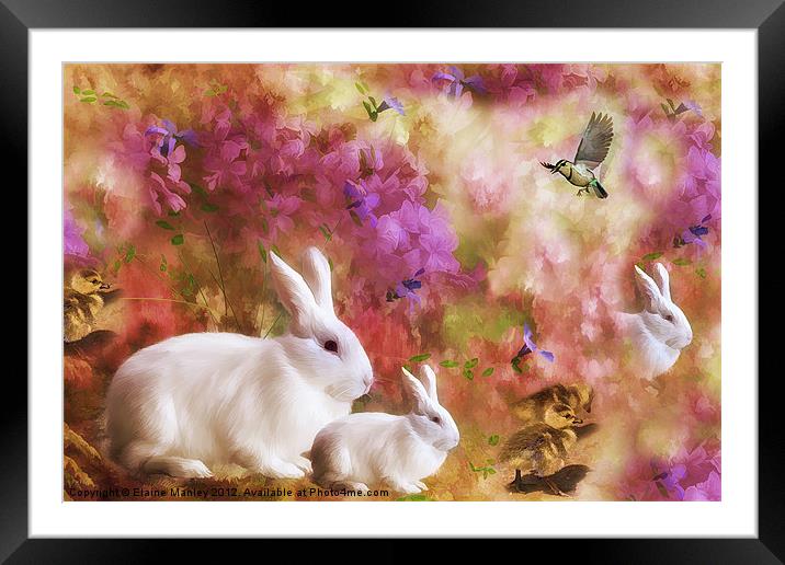 Nature and Spring Framed Mounted Print by Elaine Manley