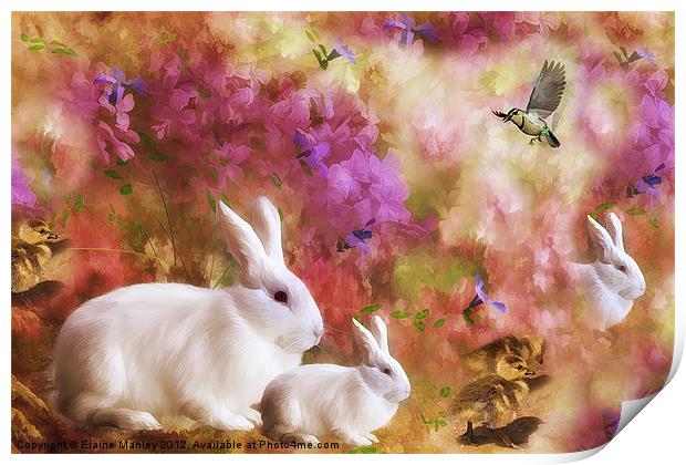 Nature and Spring Print by Elaine Manley