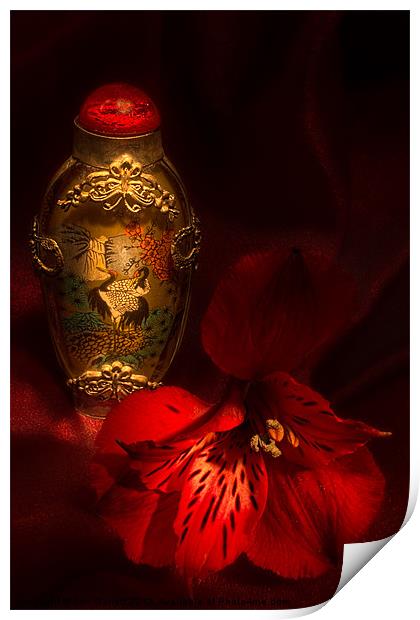 Oriental Snuff Bottle and Alstroemeria Print by Ann Garrett