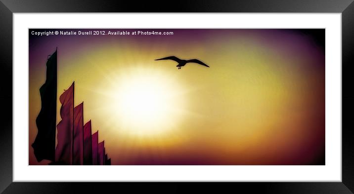 Flags, Flight & Flare Framed Mounted Print by Natalie Durell