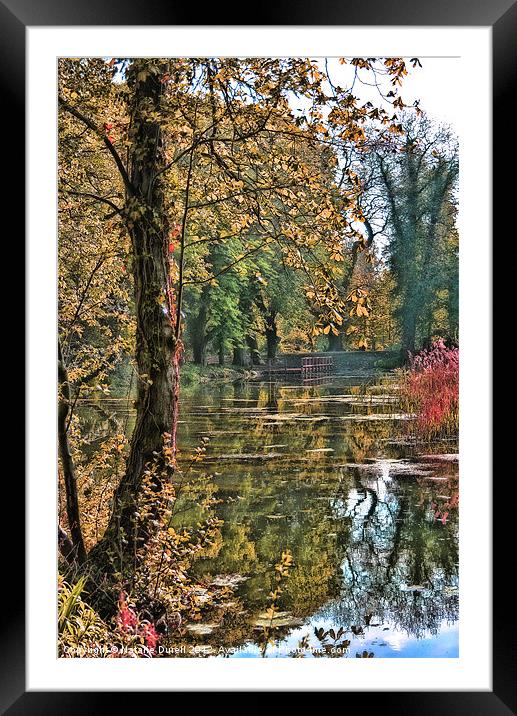 Gunpowder Pond Framed Mounted Print by Natalie Durell