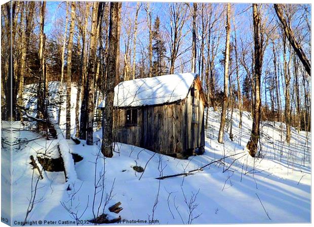 Abandoned Hunting Cabin Canvas Print by Peter Castine