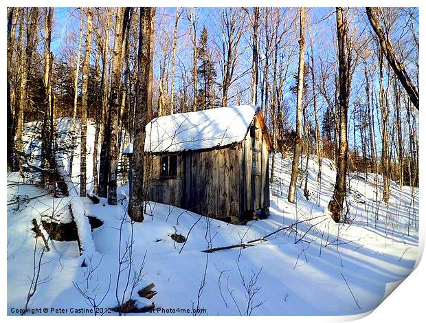Abandoned Hunting Cabin Print by Peter Castine