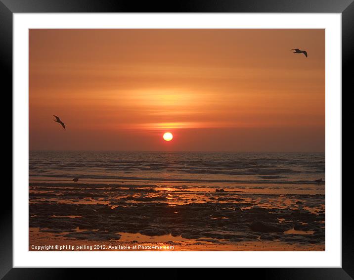 Morning Flight Framed Mounted Print by camera man