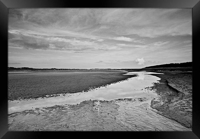 Time for Reflection in Holkham Framed Print by Paul Macro