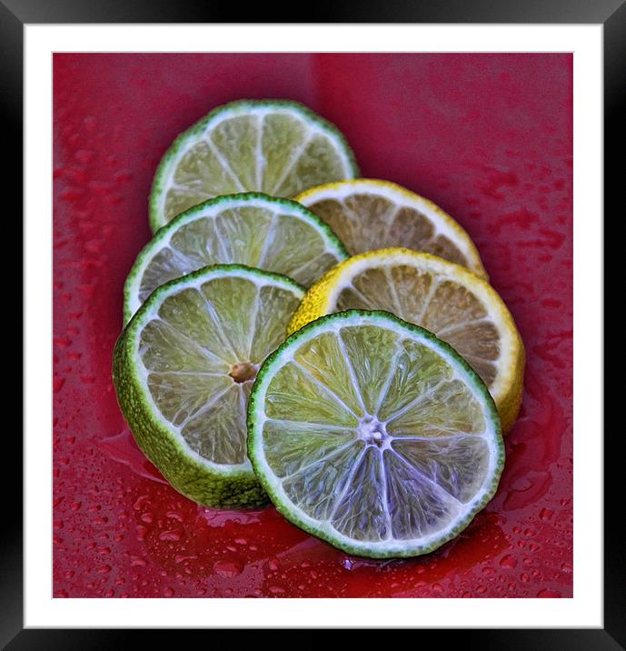 citrus Framed Mounted Print by sue davies